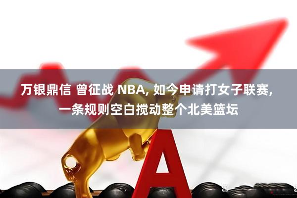 万银鼎信 曾征战 NBA, 如今申请打女子联赛, 一条规则空白搅动整个北美篮坛