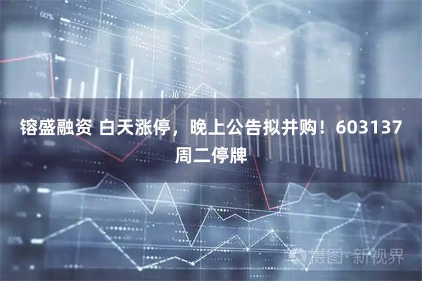镕盛融资 白天涨停，晚上公告拟并购！603137周二停牌